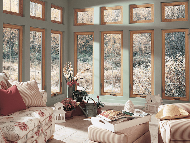 Window Replacement Experts